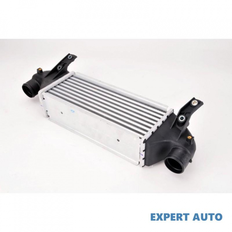 Radiator intercooler Ford FIESTA Mk IV (JA_, JB_) 