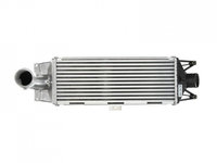 Radiator intercooler Iveco DAILY IV platou / sasiu 2006-2011 #2 28004100