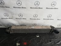 Radiator Intercooler Mercedes B Class W245 cod A1695000000