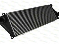 Radiator intercooler MERCEDES-BENZ SPRINTER 2-t platou / sasiu (901 902) THERMOTEC DAM001TT