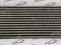 Radiator intercooler Renault Megane Scenic 8200700172 82 00 700 172 R4851001