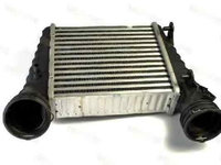 Radiator intercooler SKODA SUPERB (3U4) THERMOTEC DAW004TT