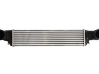 Radiator Intercooler Thermix Bmw X3 E83 2004-2011 TH.03.006