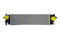 Radiator intercooler Volvo S60/V60 2018-, S90/V90 2016-, Xc40 2017-, Xc60 2017-, Xc90 2015-, 616x170x80mm, material Rezervor plastic, fagure aluminiu brazat, MAHLE 90K1J81X