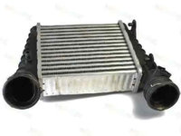 Radiator intercooler VW PASSAT (3B3) THERMOTEC DAW003TT