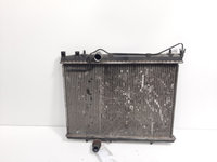 Radiator racire apa, Peugeot 206, 1.6 HDI, 9HZ (idi:596397)