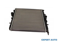 Radiator, racire motor Peugeot 206 CC (2D) 2000-2016 #2 01083034