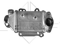 Radiator recirculare gaze de esapament 48009 NRF pentru Fiat Fiorino Fiat Qubo Fiat Linea Fiat 500 Alfa romeo Mito