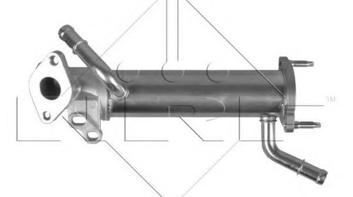 Radiator, recirculare gaze de esapament FORD 