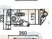 Radiator retarder MAN TGA HELLA 8MO376765511