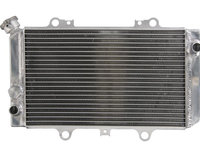 Radiator YAMAHA YFM 660 2002-2008 4RIDE RAD-121