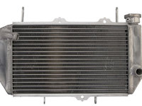 Radiator YAMAHA YFZ 450 2009-2013 4RIDE RAD-082