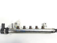 Rampa injectoare, Citroen C6, 2.2 hdi, 4HP, 9656917280