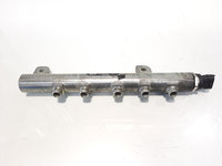 Rampa injectoare, cod 55197370, 0445214095, Saab 9-3 II Combi (YS3F) 1.9 TID, Z19DT (id:314526)