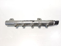 Rampa injectoare, cod 55197370, Alfa Romeo 159 Sportwagon (939), 1.9 JTDM, 939A1000 (idi:365373)
