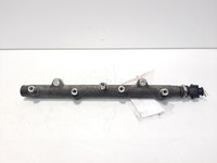 Rampa injectoare cu senzor, cod 0445214011, Land Rover Freelander (LN) 2.0 diesel, 204D3 (id:556859)