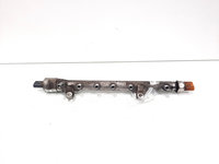 Rampa injectoare cu senzori, cod 03L089H, Seat Leon (1P1), 1.6 TDI, CAY (idi:530642)