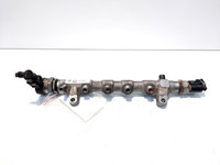 Rampa injectoare cu senzori, cod 03L130089P, Seat Alhambra (710), 2.0 TDI, CFF (idi:516735)