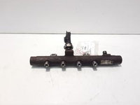 Rampa injector Renault Scenic 3, 1.5 dci, 8200704212