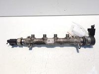 Rampa injector Seat Toledo 4 (KG3), 04L089B