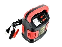 Redersor auto INCARCARE BATERIE 12V 8A AL-091017-15