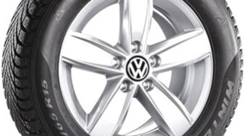 Roata Iarna Completa Oe Volkswagen Passat Des