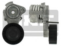 Rola intinzatoare VKM 38250 SKF pentru Bmw Seria 3 Bmw Seria 5 Bmw Seria 6 Bmw Seria 1 Bmw Z4 Bmw Seria 7 Bmw X3 Bmw X5 Bmw X1