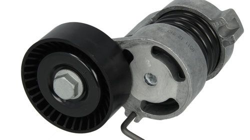 Rola intinzator curea alternator BMW 1 E81 SK