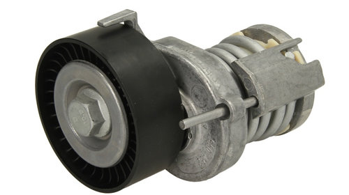 Rola intinzator curea alternator VW GOLF IV 1