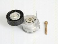 Rola Intinzator curea AUDI A6 4G2 C7 4GC TRISCAN 8641293024