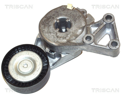 Rola intinzator curea distributie # Vw Eos 2006 2007 2008 # 8641 293003 # TRISCAN