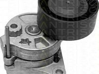 Rola Intinzator curea MERCEDES-BENZ V-CLASS 638 2 TRISCAN 8641233005