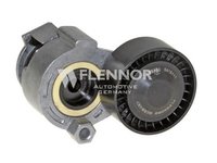 Rola Intinzator curea NISSAN KUBISTAR X76 FLENNOR FS99494