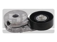 Rola Intinzator curea RENAULT CLIO III BR0 1 CR0 1 SKF VKM62025