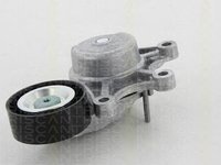 Rola intinzator,curea transmisie BMW Z4 (E89), BMW X1 combi (E84), BMW 5 (F10, F18) - TRISCAN 8641 111020