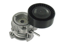 Rola intinzator,curea transmisie centru (VKM38302 SKF) BMW,BMW (BRILLIANCE)