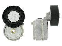 Rola intinzator,curea transmisie centru (VKMCV52004 SKF) IVECO,RENAULT,RENAULT TRUCKS,SANTANA