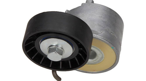 Rola intinzator curea transmisie FIAT DUCATO 