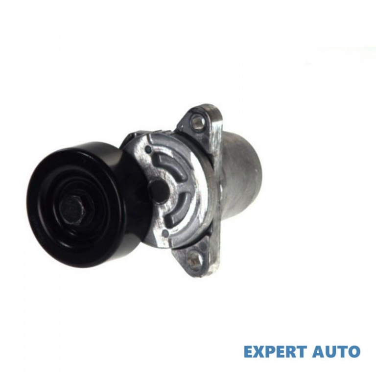 Rola intinzator,curea transmisie Hyundai EXCEL II 