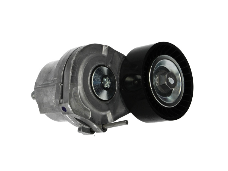 Rola intinzator,curea transmisie Intinzator curea