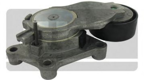 Rola intinzator,curea transmisie PEUGEOT 207 