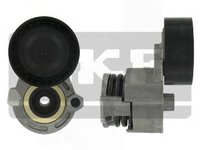 Rola intinzator,curea transmisie RENAULT KANGOO (KC0/1_), RENAULT CLIO Mk II (BB0/1/2_, CB0/1/2_), RENAULT KANGOO Rapid (FC0/1_) - SKF VKM 36055