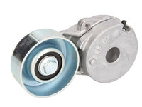 Rola intinzator,curea transmisie RENAULT MEGANE III Hatchback (BZ0/1_, B3_) BTA E21013BTA