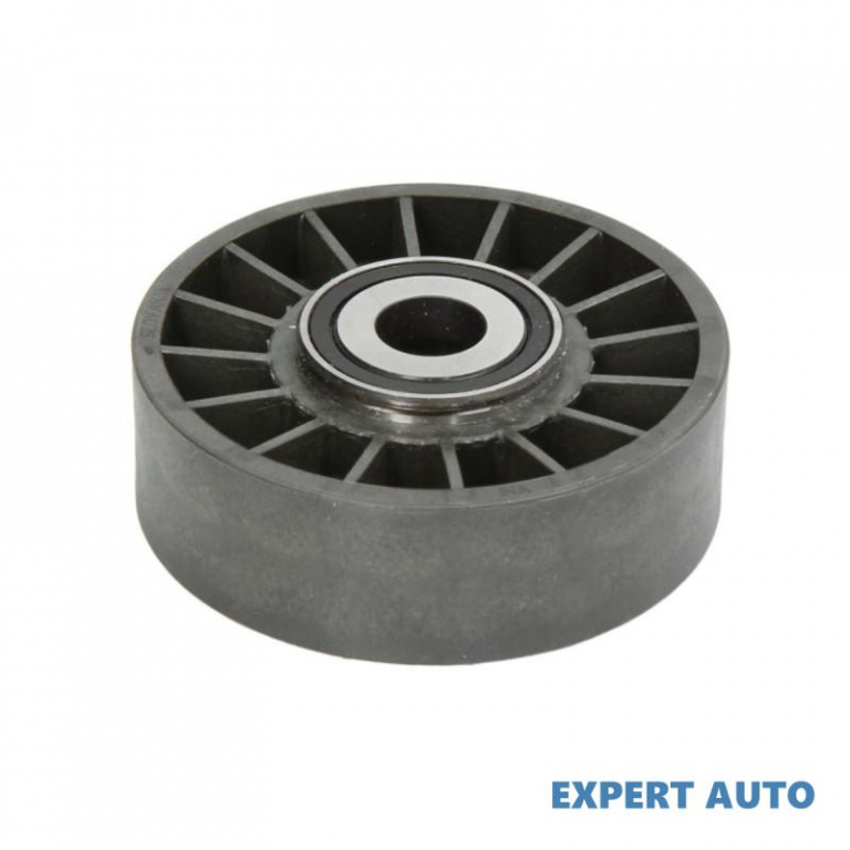 Rola intinzator,curea transmisie Ssang Yong Rexton