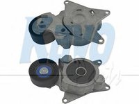 Rola intinzator,curea transmisie TOYOTA AVENSIS limuzina (T25), TOYOTA AVENSIS Combi (T25), TOYOTA AVENSIS (T25_) - KAVO PARTS DTP-9007