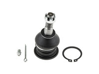 Rotula brat suspensie Lexus Is250, 350 Gse20 2005-, Fata Superior, NTY ZSG-TY-017