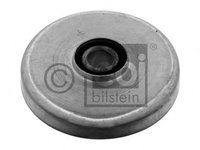 Rulment diferential 06667 FEBI BILSTEIN pentru Mercedes-benz Limuzina Mercedes-benz E-class Mercedes-benz Kombi Mercedes-benz Coupe Mercedes-benz Cabriolet