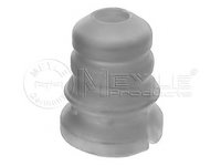 Saiba arc 314 742 0005 MEYLE pentru Bmw Seria 3 Bmw X1 Bmw Seria 1