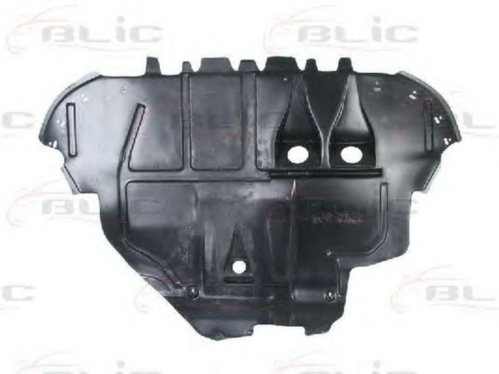 Scut motor AUDI TT 8N3 BLIC 6601020020860P