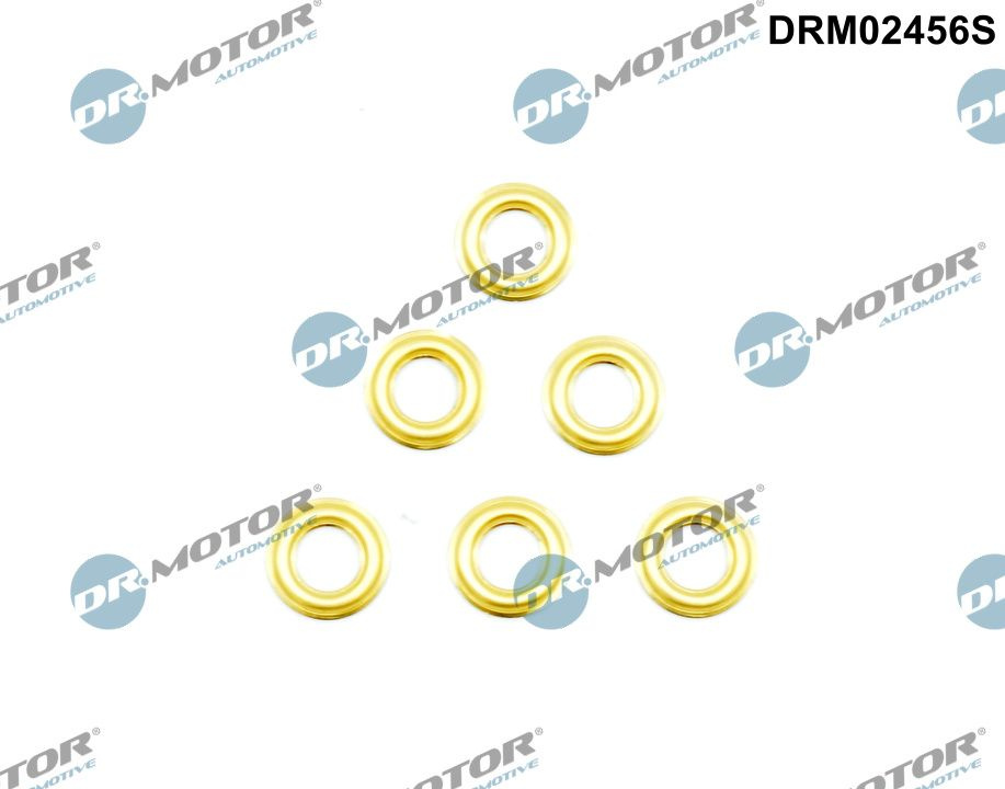 Scut protectie termica, instalatie. injectie Dr.Motor Automotive DRM02456S
